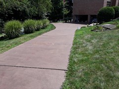 After pressure washing, this driveway had a brown semi-transparent stain applied to give the driveway the look the customer desired.